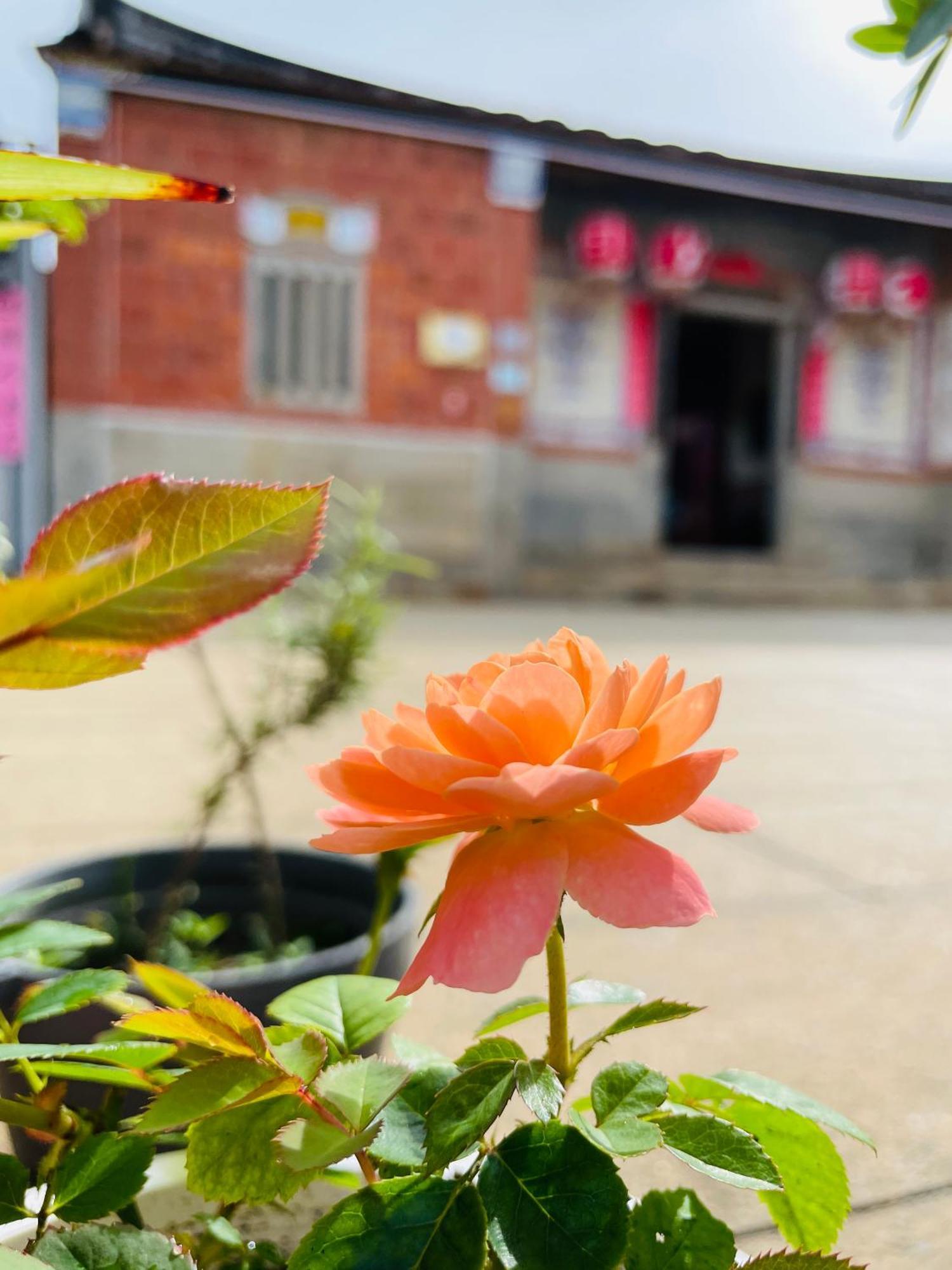 Grace Homestay Jincheng Exterior foto